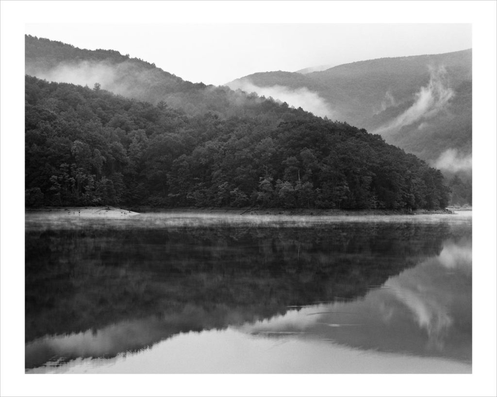 Watermisttrees